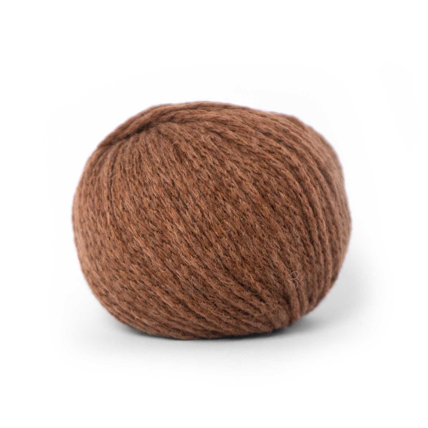 Camel DK Pascuali