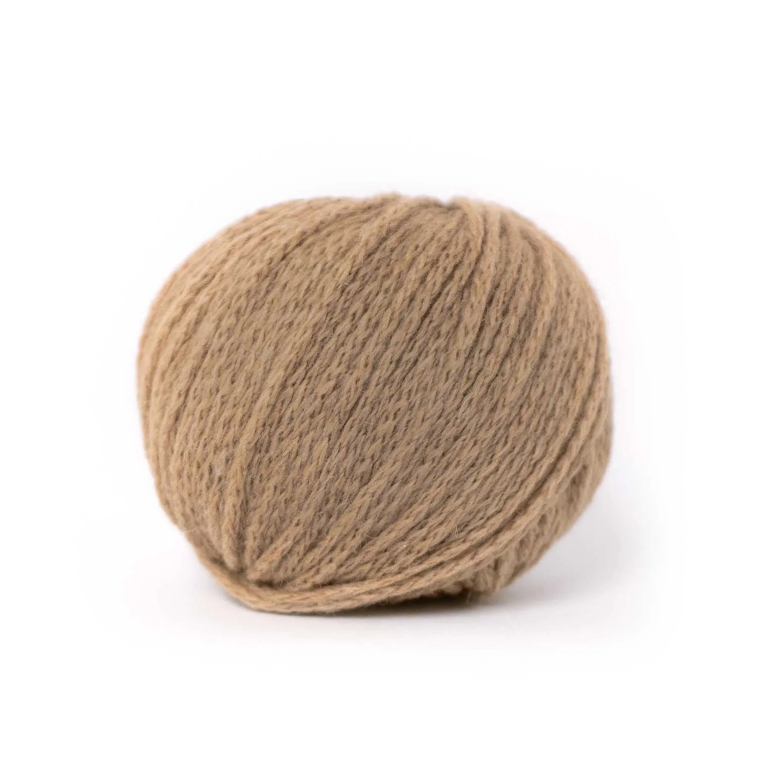 Camel DK Pascuali