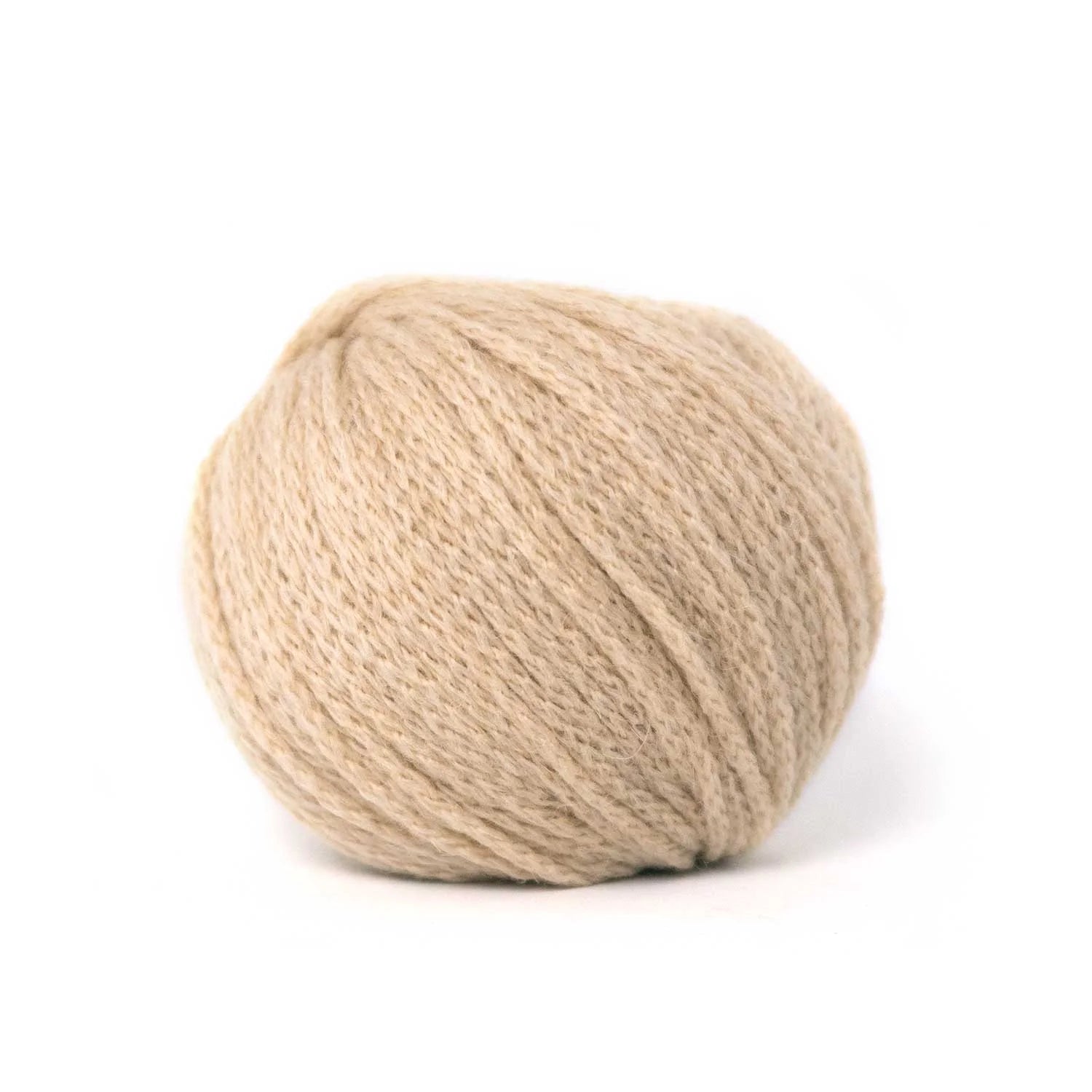 Camel DK Pascuali