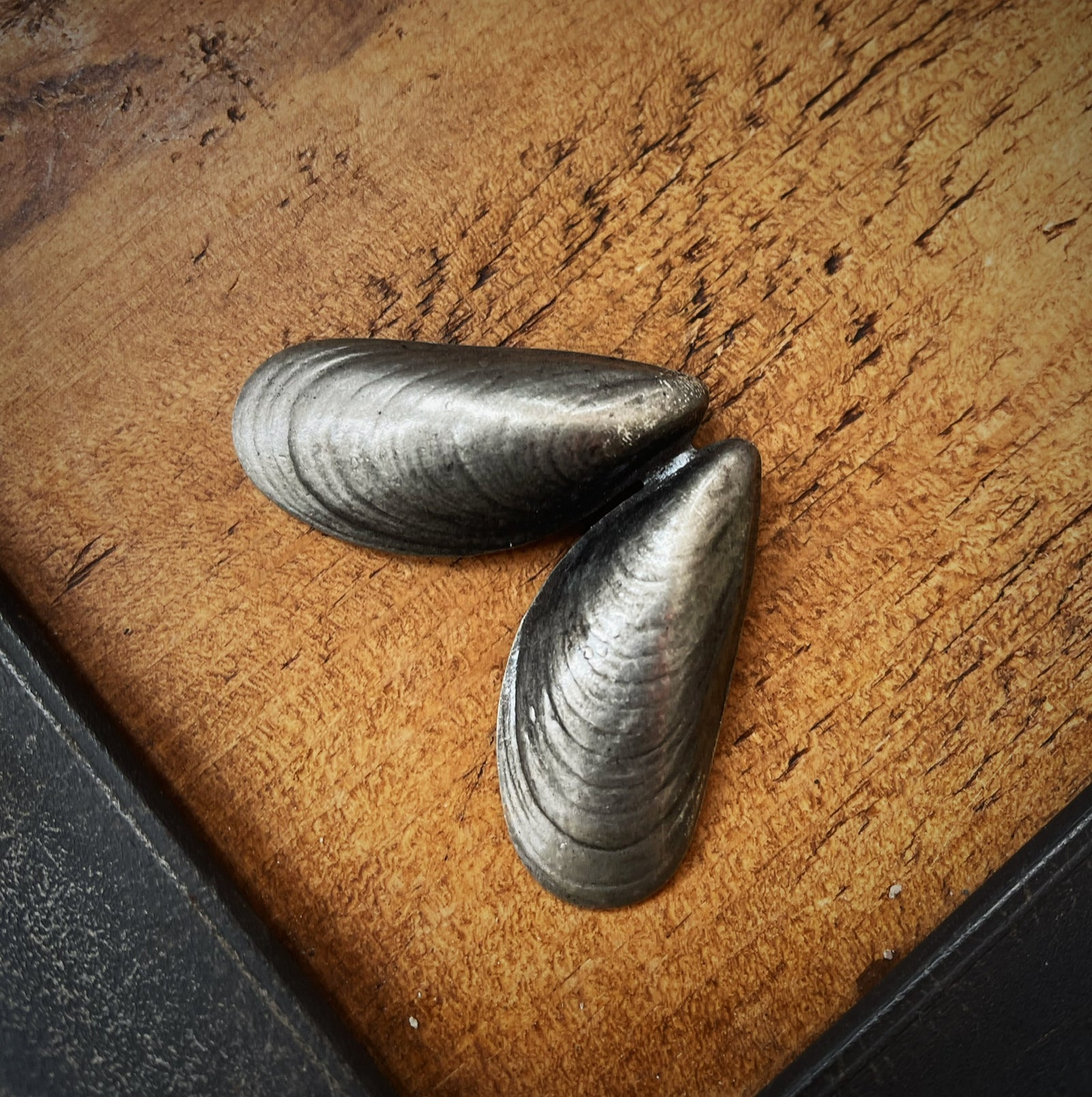 Mussel Shell Brooch - Silver TextileGarden