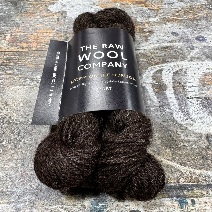 Storm on the Horizon by The Raw Wool Company