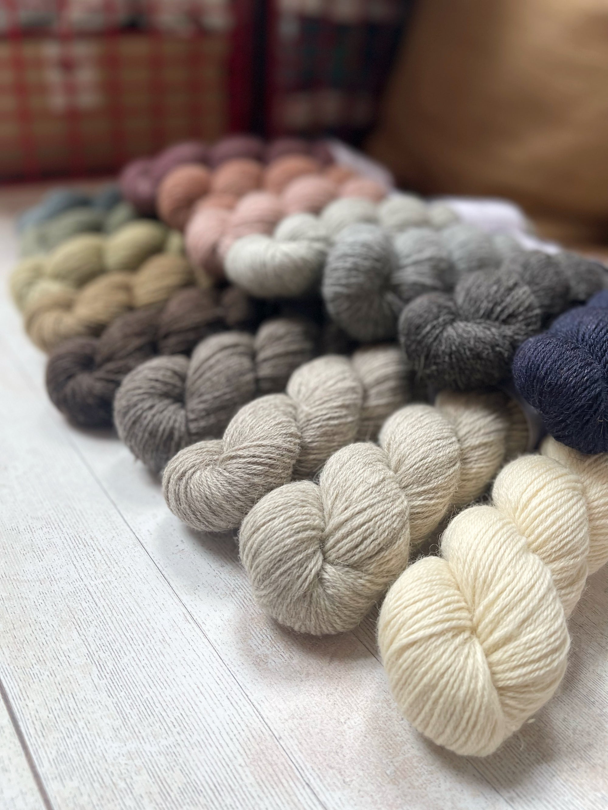 SheepSoft DK ByLaxtons