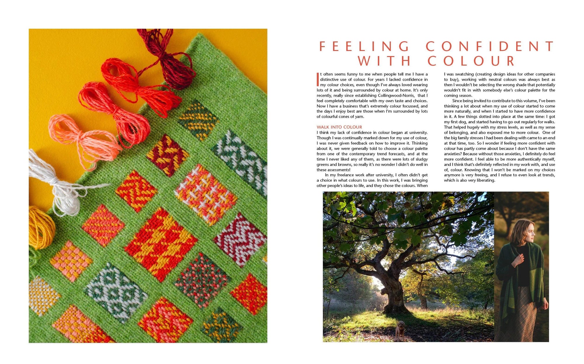 Colour at Work - Kate Davies & Felicity Ford