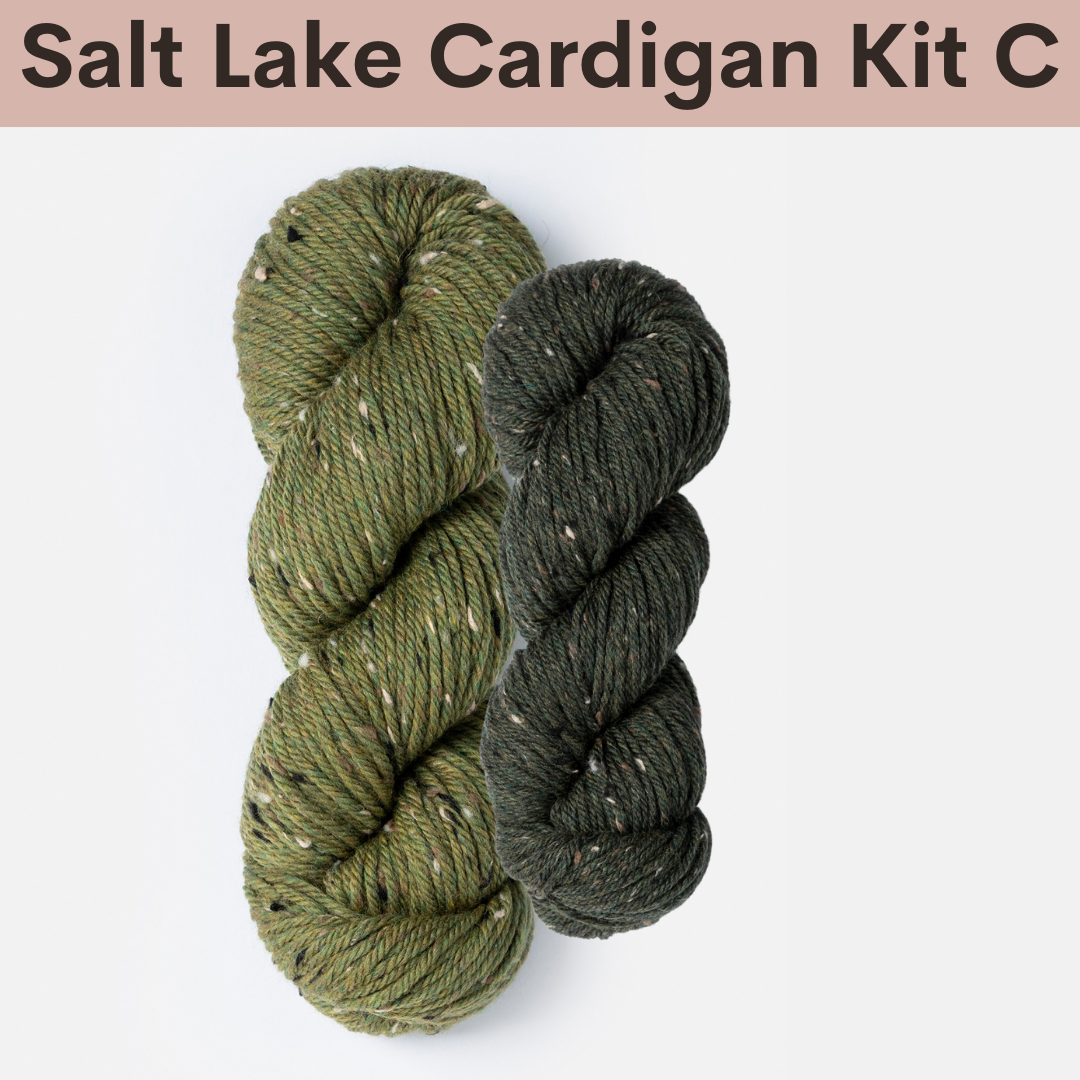 Salt Lake Cardigan Kits with Woolstok Tweed Blue Sky Fibers