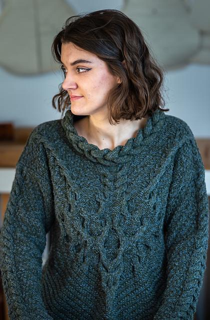 Oak Sweater Pattern Di Gilpin