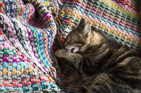 Pixel Blanket Crochet Pattern tribeyarns