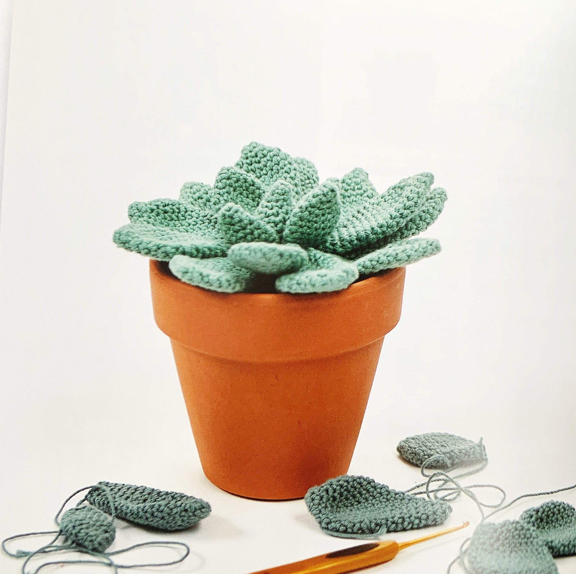 Stylish Succulents to Crochet Search Press